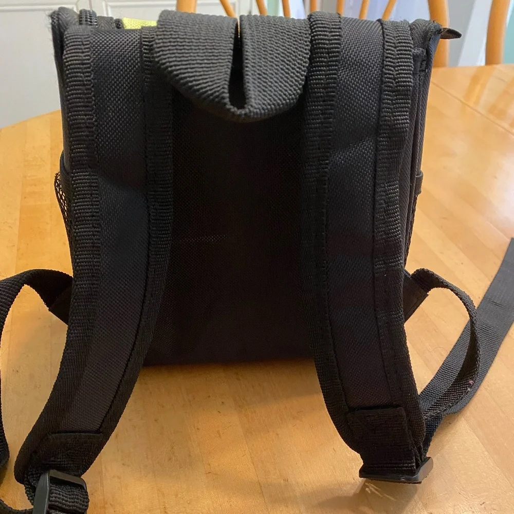 Nintendo DS Mini Backpack Case